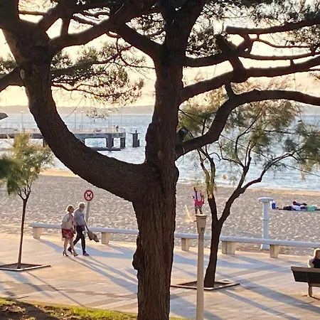 דירה T3 Centre-ville Arcachon, Terrasse, Parking, Wifi - Fr-1-374-71 ארסשון