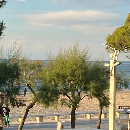 T3 Centre-ville Arcachon, Terrasse, Parking, Wifi - Fr-1-374-71 דירה ארסשון